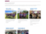  Sports Club Website for Ashby RFC     