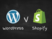  WordPress vs Shopify: Which Website Platform Should You Choose?  